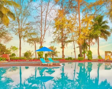 Discover Serenity